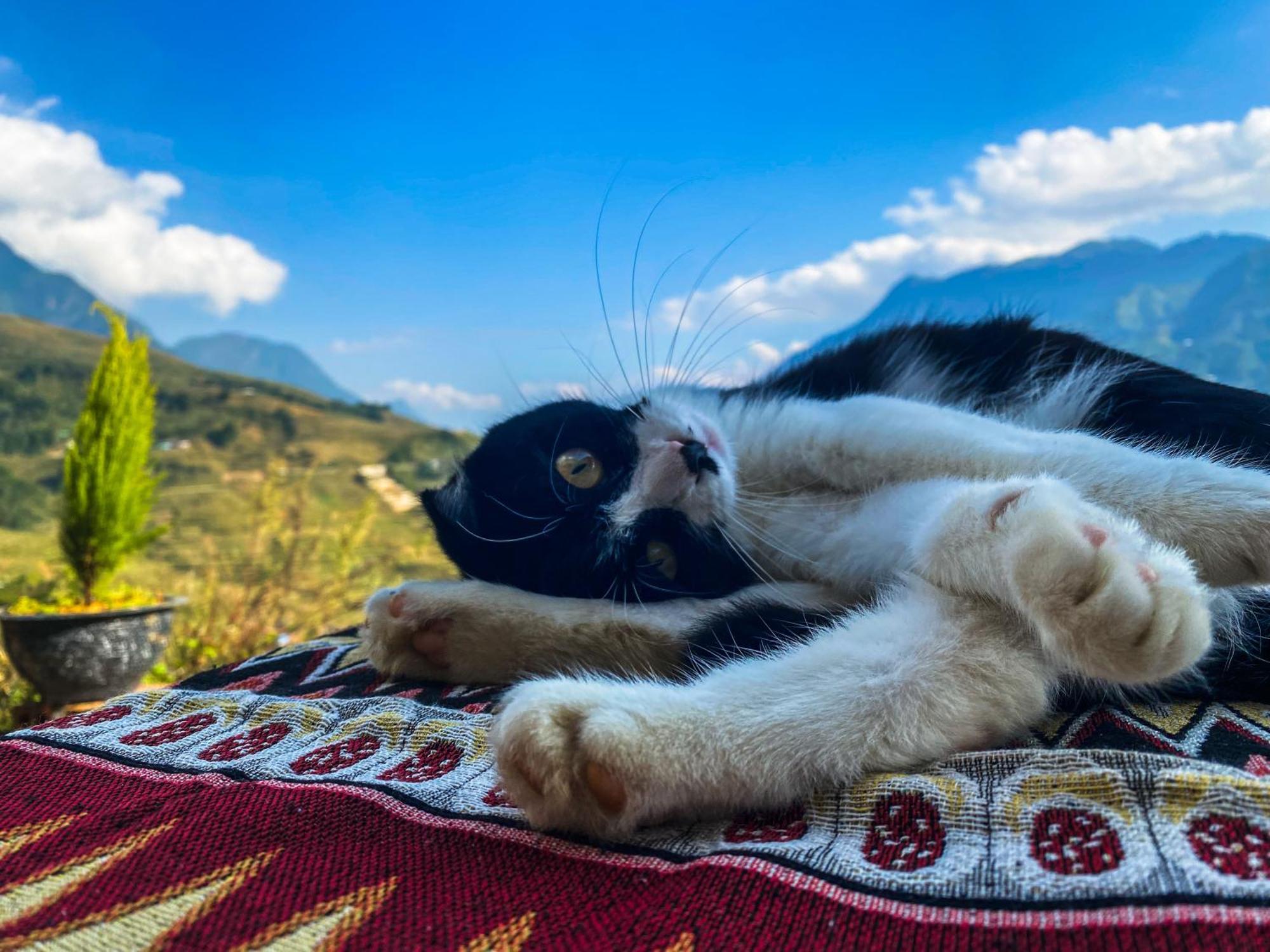 Pham'S House - Homestay & Cafe Sapa Dış mekan fotoğraf