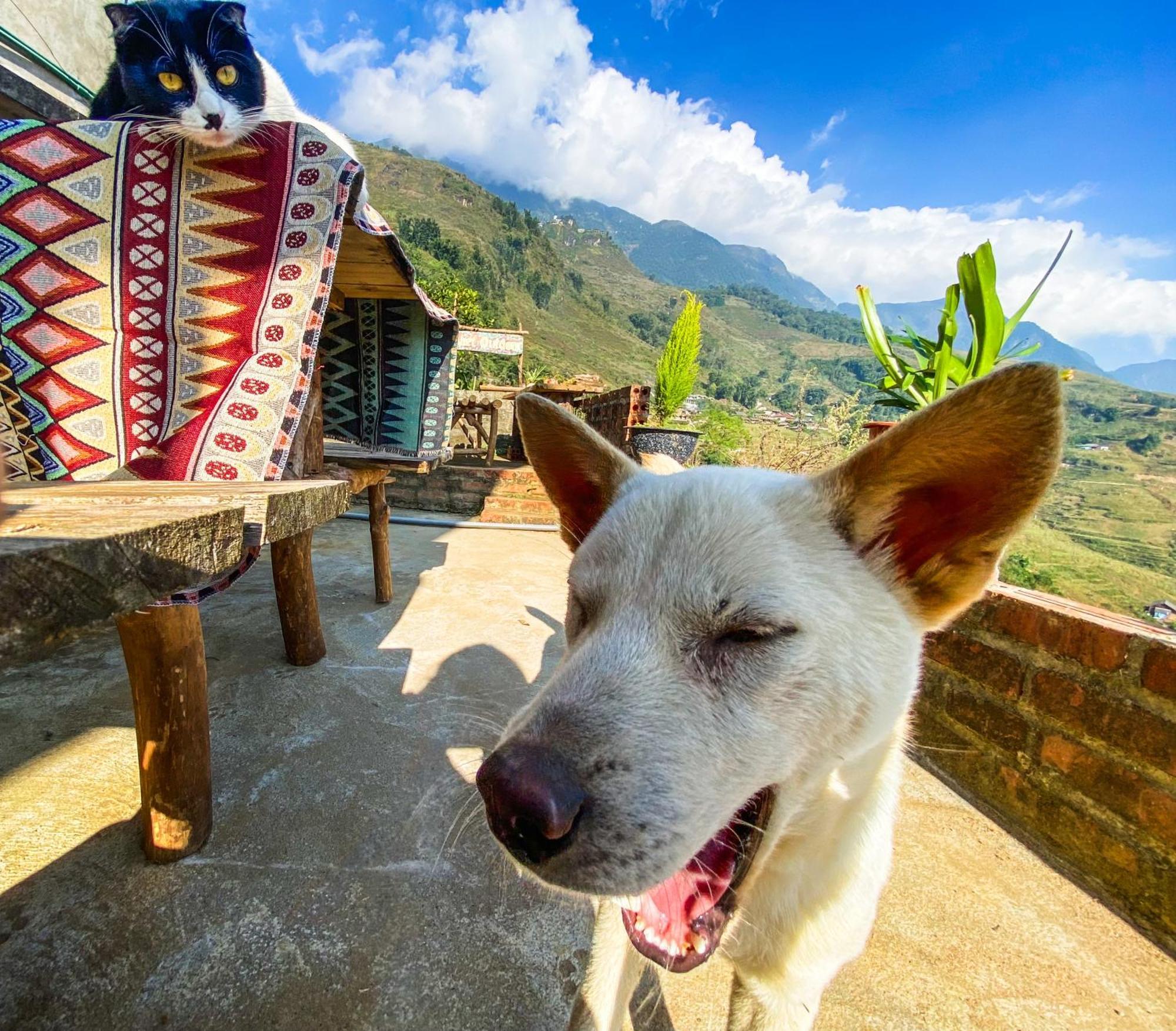Pham'S House - Homestay & Cafe Sapa Dış mekan fotoğraf